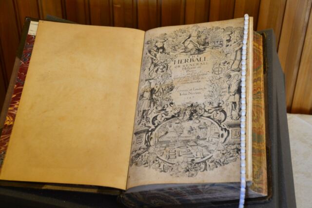 herbal-catalog-published-in-1597-image-theorized-to-be-of-shakespeare-1