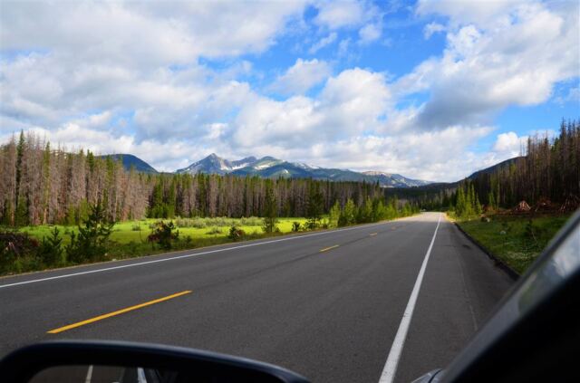 Driving into the park