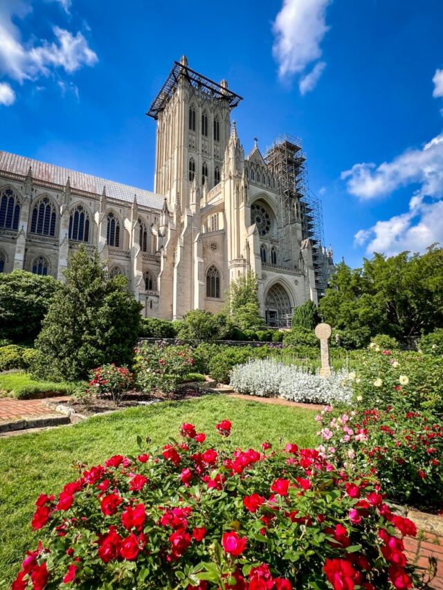 Bishop's Garden 14