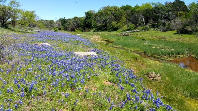 Willow Loop valley 19