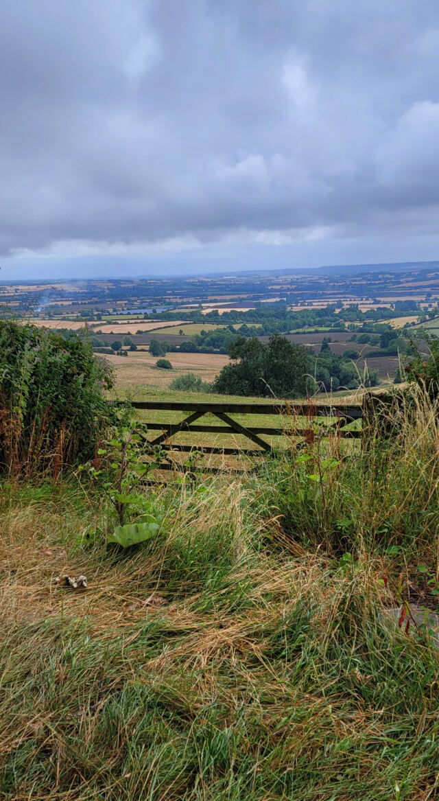Cotswold views from Foxcote Hill (07)