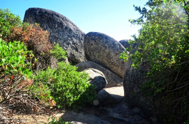 Sand Harbor 14