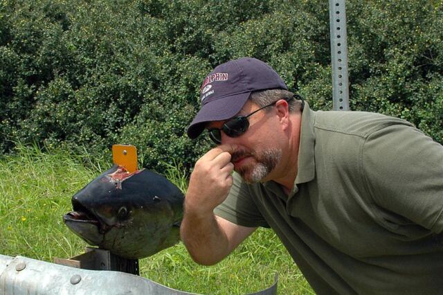 Yes, Roger, it smells