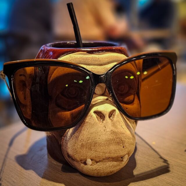 Mr Cool Monkey
