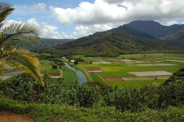 Hanalei Valley (1)