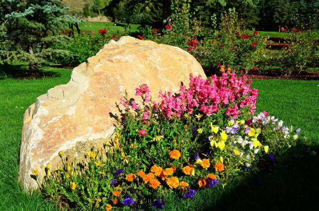Rustic Inn - flowers (12)