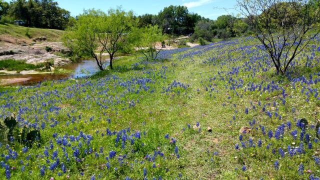 Willow Loop valley 14