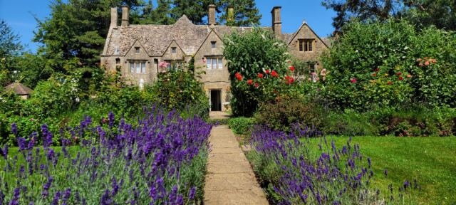 Charingworth lavender