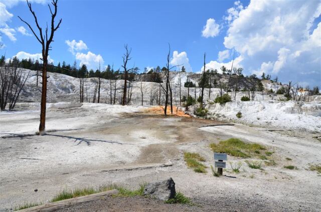 Mammoth Hot Springs Terrace (10)