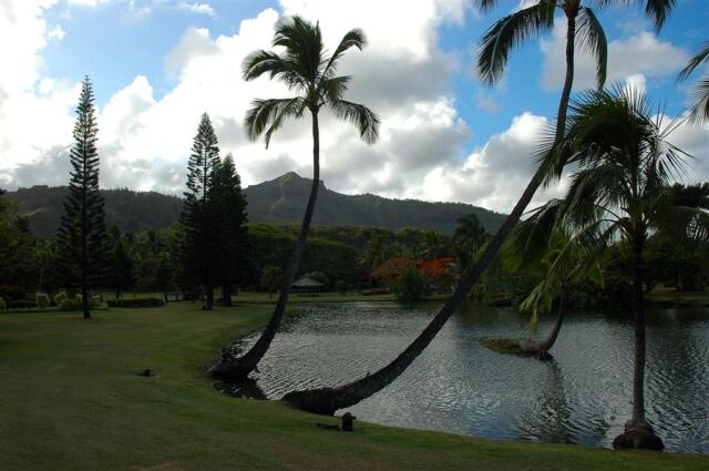 Palms, mountains. and lagoon