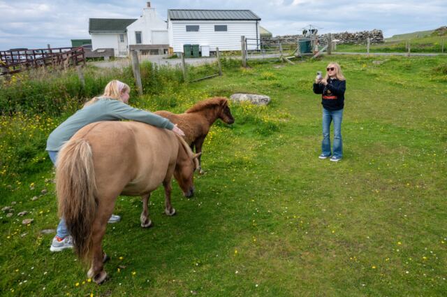 The Shetland Pony Experience 34