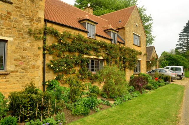 Rose-covered cottage