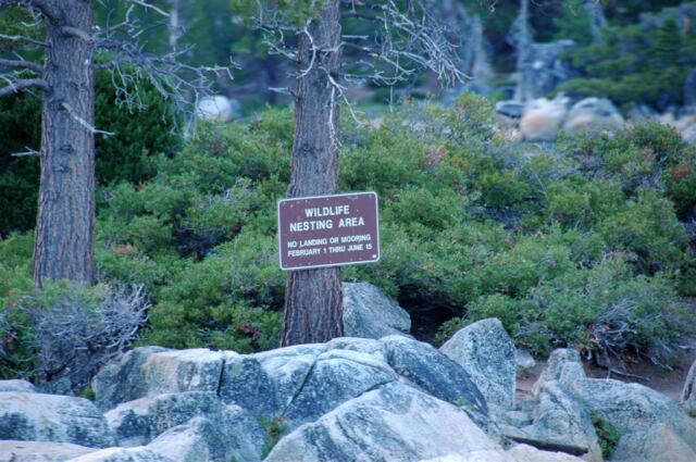 Wildlife Nesting Area