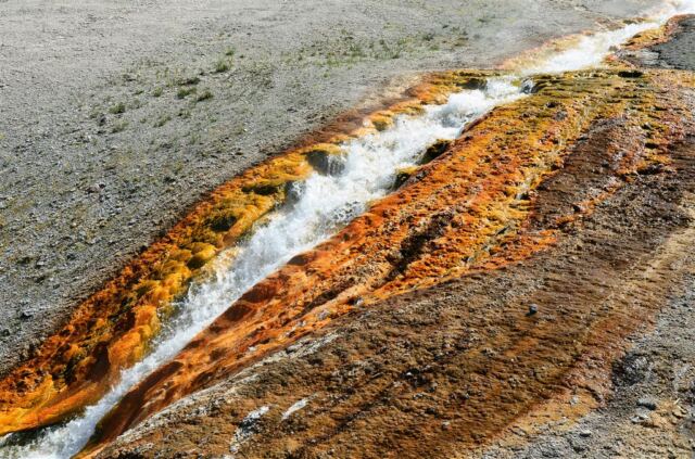 Excelsior Geyser runoff stream (7)