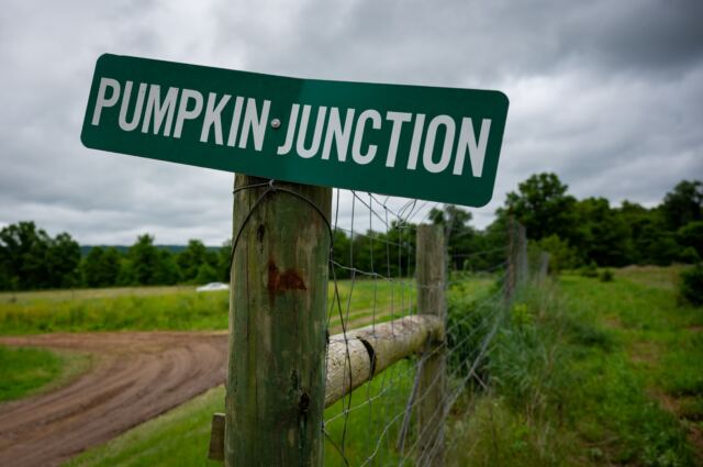 Pumpkin Junction