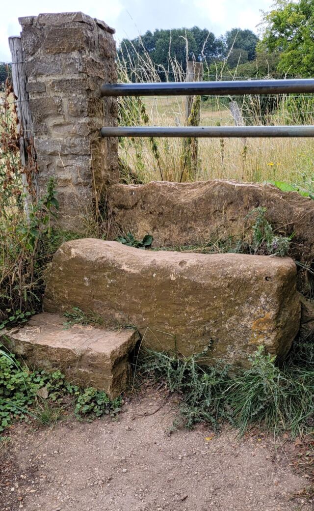 Cotswold Way gates (11)