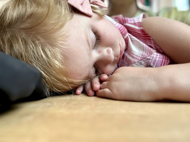 Shiloh needed a nap 2