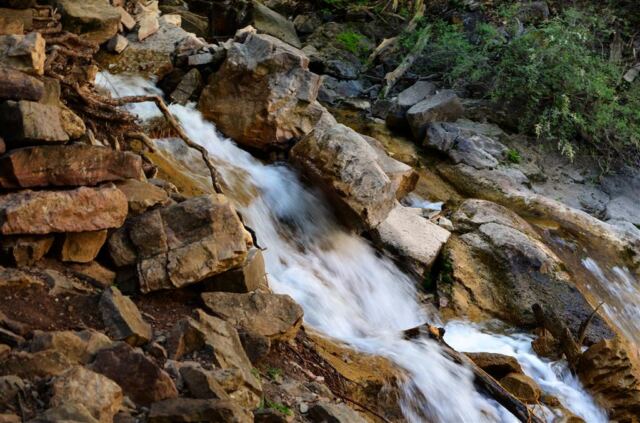 Pathside stream (2)