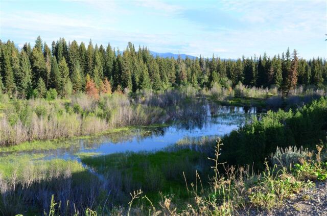 Moose Flats - now empty