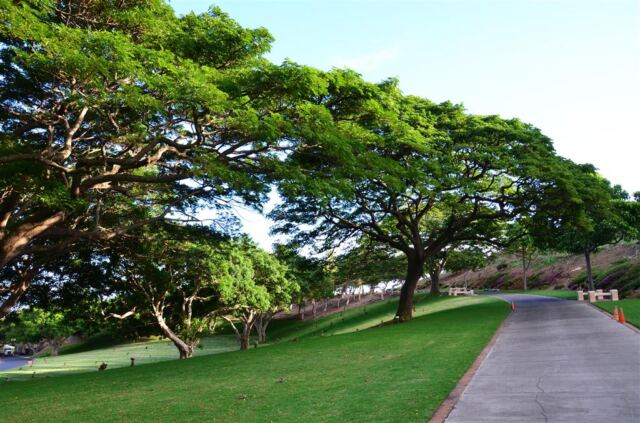 punchbowl-national-cemetery-1-