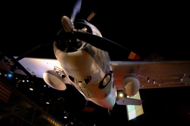 F4F Wildcat (2)