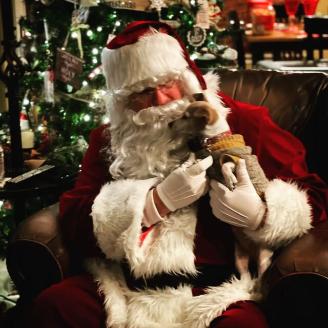 Santa - Kate