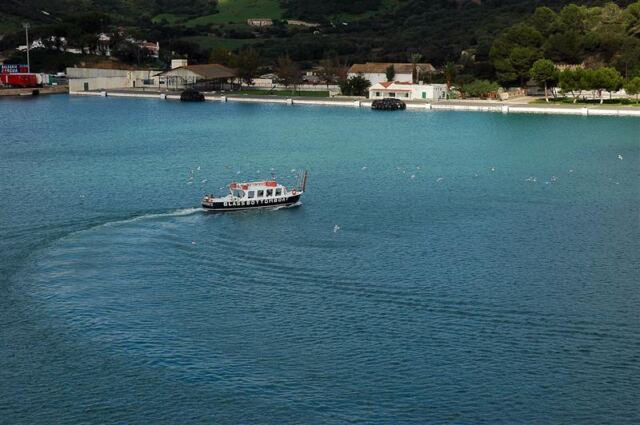 Seagulls follow the other glass bottom boat