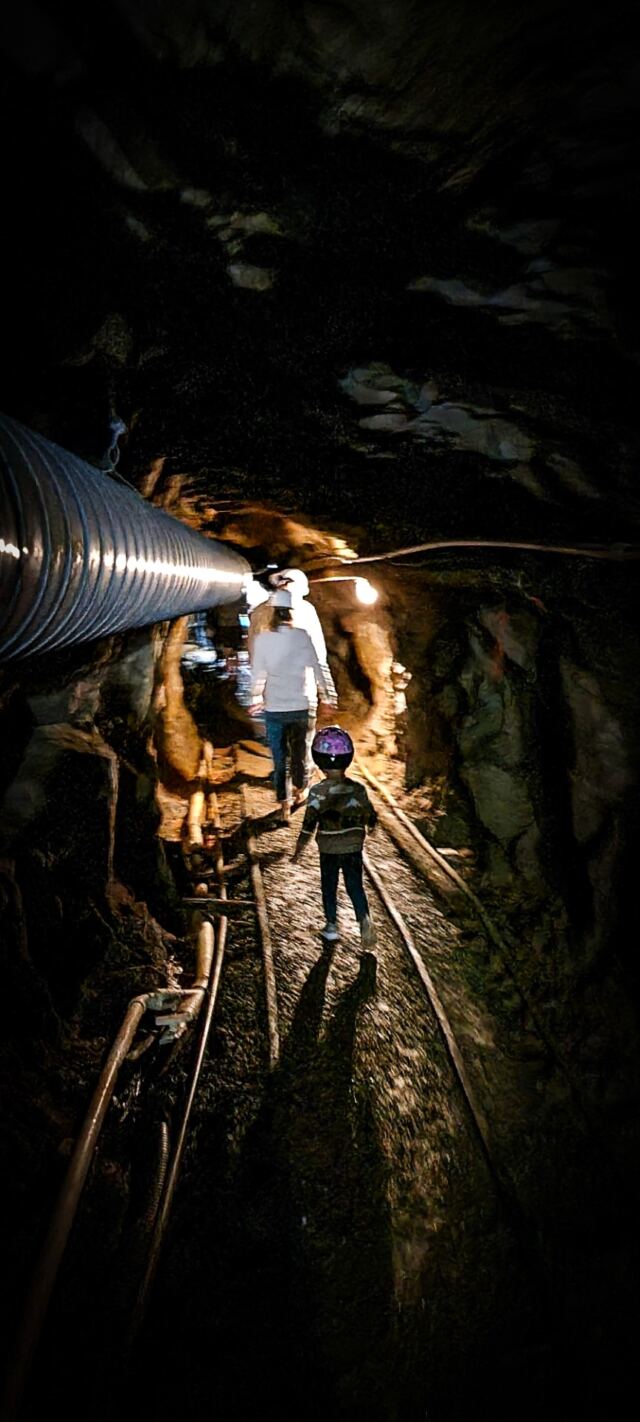 Wait for me!