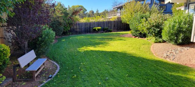 Our VRBO back yard