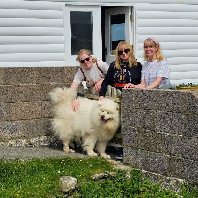 The Shetland Pony Experience 81