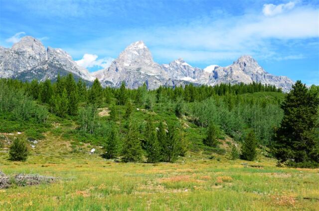 Starting our hike into the Teton foothills