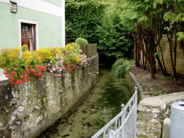 hohenfels-stream-1