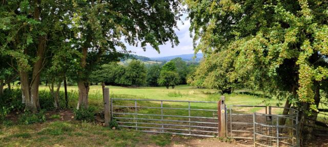 Cotswold Way gates (13)