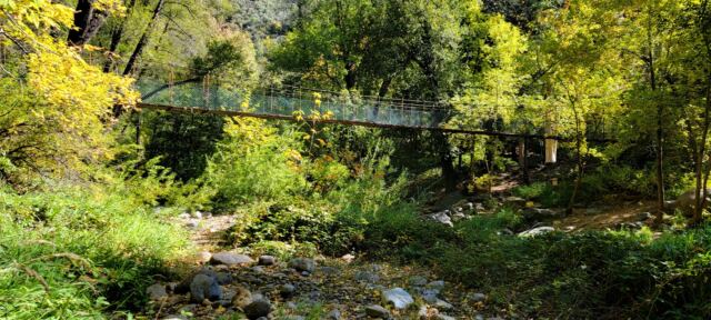 Junipine Creek views (07)