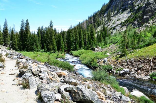 Heading back along the stream