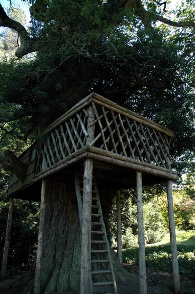 Cool treehouse