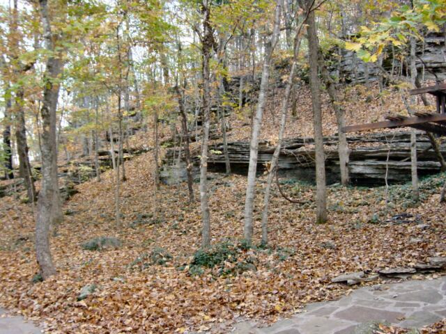 hillside-at-thorncrown-chapel