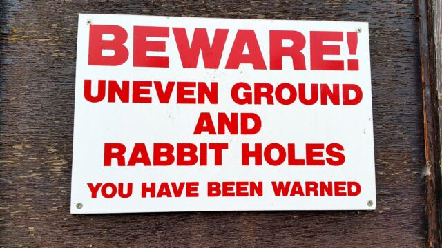 BEWARE - Rabbit holes!