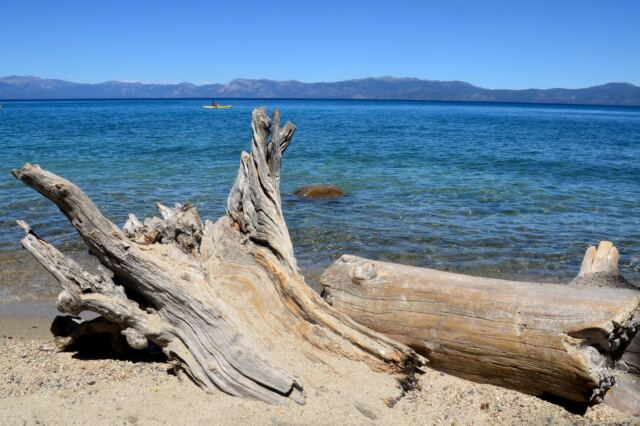 Driftwood