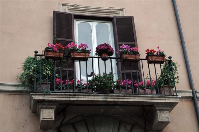 Balcony and flowers (2)