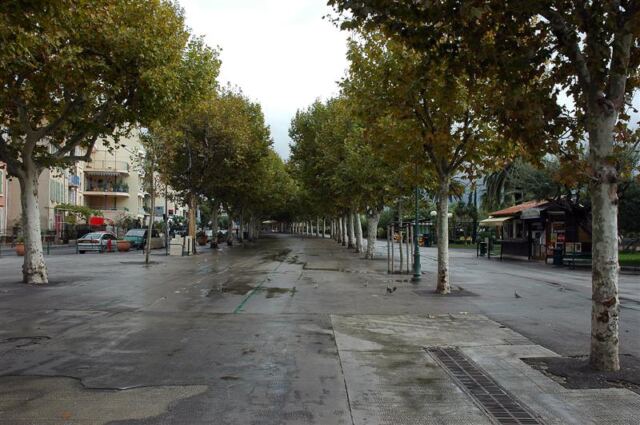 Tree lined promenade