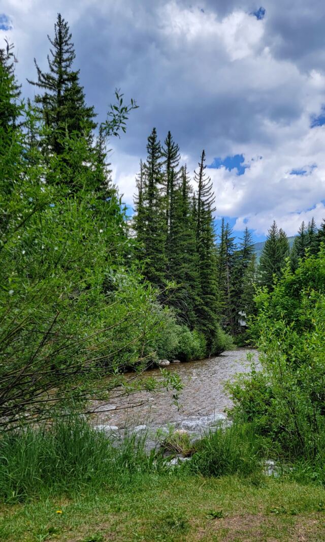 Gore Creek 12