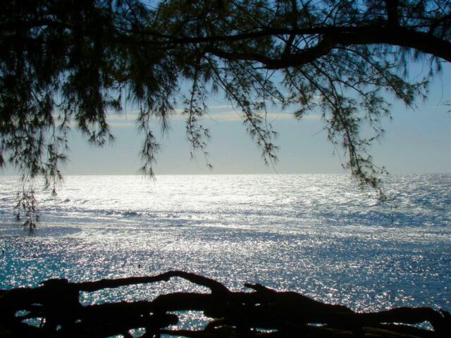 Hanalei Bay from the beach