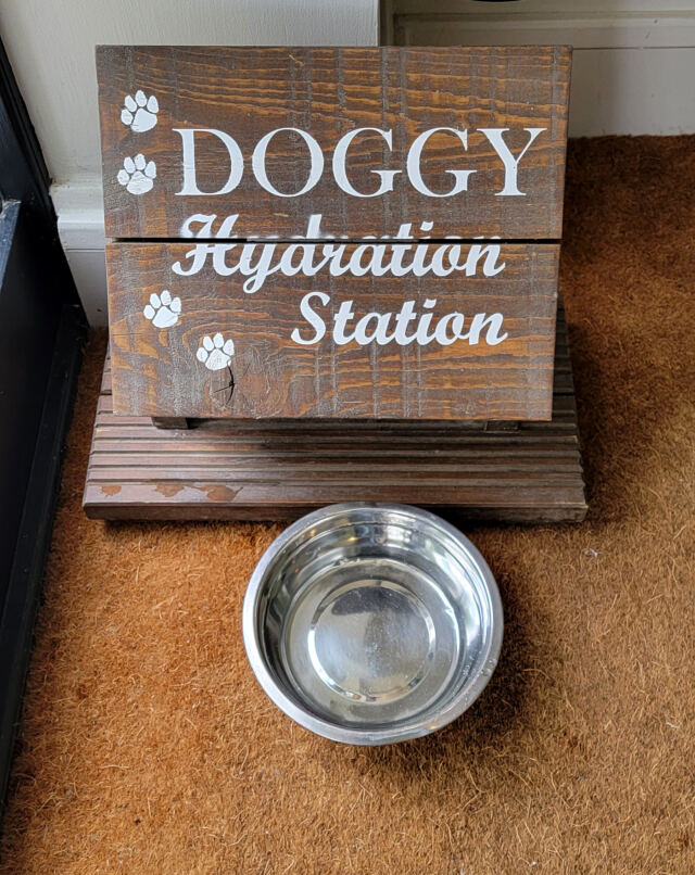 Doggy hydration station