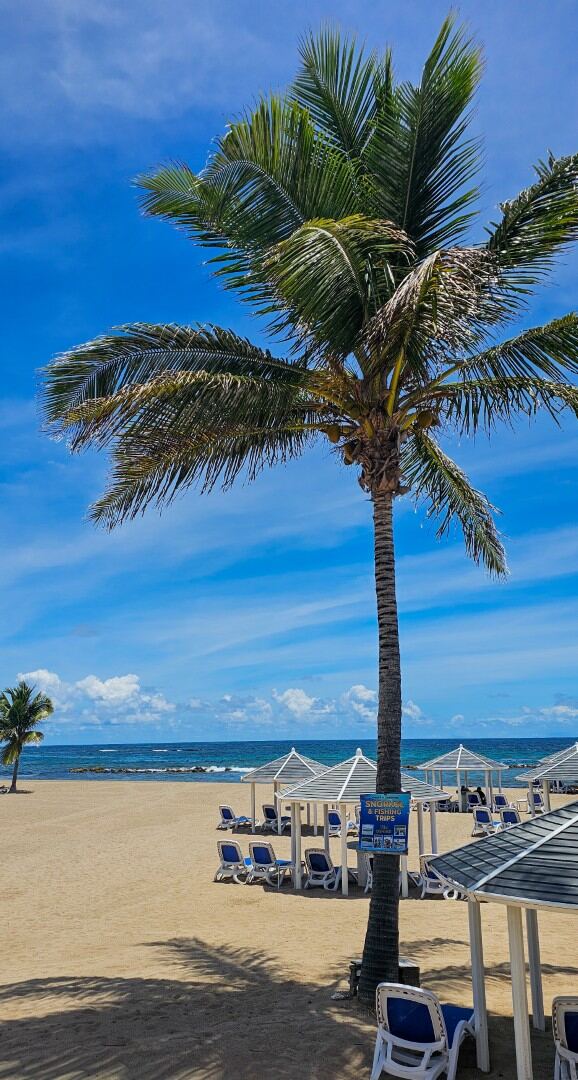 Marriott Beach Club (02)