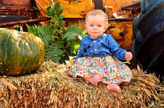 Shiloh-tractor-pumpkin-2