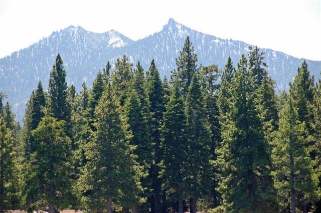 Shoreline trees and mountains