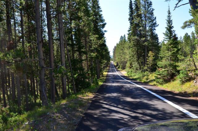 Scenic Jenny Lake drive