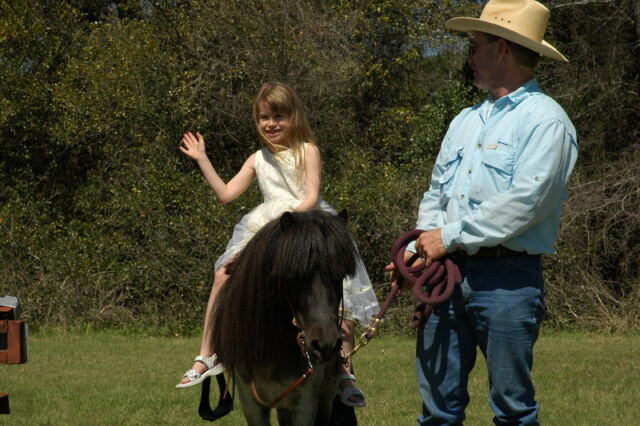 Horse rides 3