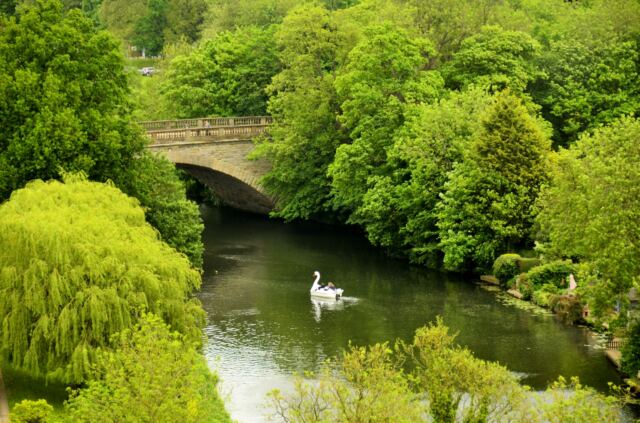 paddle-boats-on-river-avon-2
